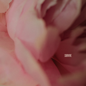 纾茗的十八岁生日礼物
